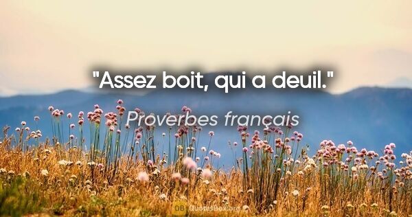 Proverbes français citation: "Assez boit, qui a deuil."