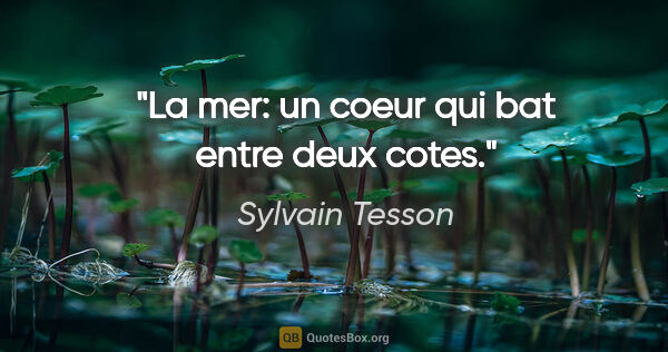 Sylvain Tesson citation: "La mer: un coeur qui bat entre deux cotes."