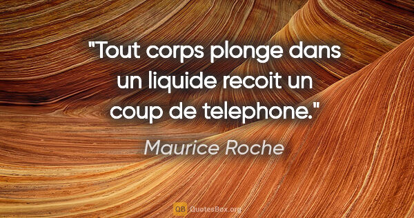 Maurice Roche citation: "Tout corps plonge dans un liquide recoit un coup de telephone."