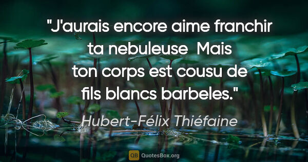 Hubert-Félix Thiéfaine citation: "J'aurais encore aime franchir ta nebuleuse  Mais ton corps est..."