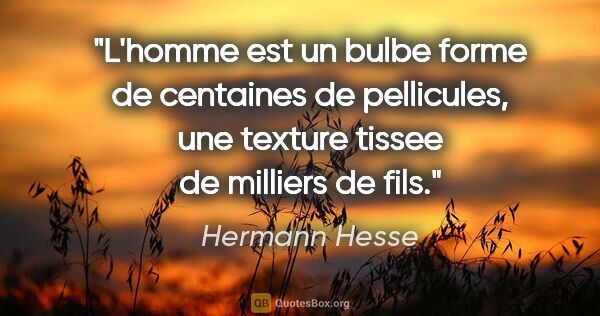 Hermann Hesse citation: "L'homme est un bulbe forme de centaines de pellicules, une..."