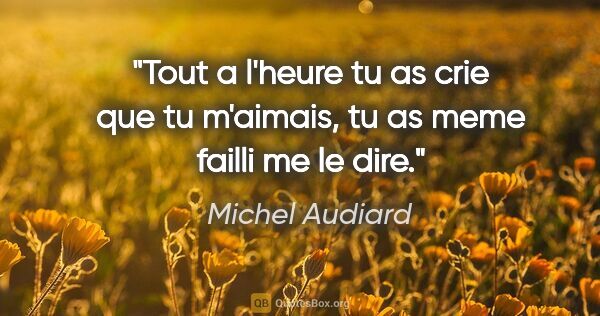 Michel Audiard citation: "Tout a l'heure tu as crie que tu m'aimais, tu as meme failli..."