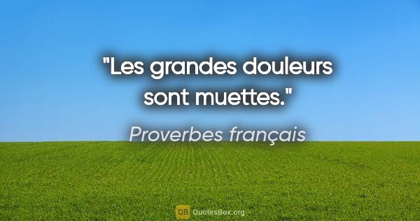 Proverbes français citation: "Les grandes douleurs sont muettes."