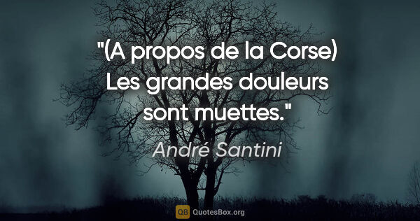 André Santini citation: "(A propos de la Corse) Les grandes douleurs sont muettes."