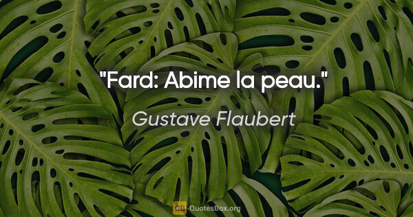 Gustave Flaubert citation: "Fard: Abime la peau."