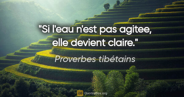 Proverbes tibétains citation: "Si l'eau n'est pas agitee, elle devient claire."