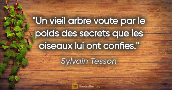 Sylvain Tesson citation: "Un vieil arbre voute par le poids des secrets que les oiseaux..."