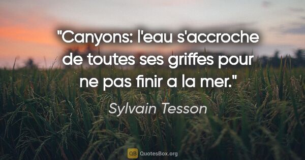 Sylvain Tesson citation: "Canyons: l'eau s'accroche de toutes ses griffes pour ne pas..."