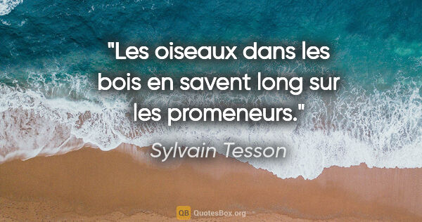 Sylvain Tesson citation: "Les oiseaux dans les bois en savent long sur les promeneurs."