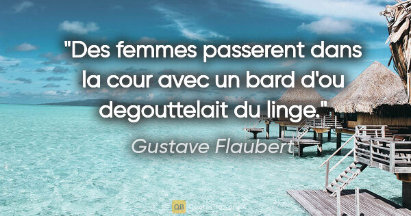 Gustave Flaubert citation: "Des femmes passerent dans la cour avec un bard d'ou..."