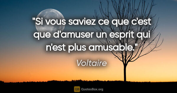 Voltaire citation: "Si vous saviez ce que c'est que d'amuser un esprit qui n'est..."