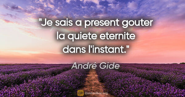 André Gide citation: "Je sais a present gouter la quiete eternite dans l'instant."