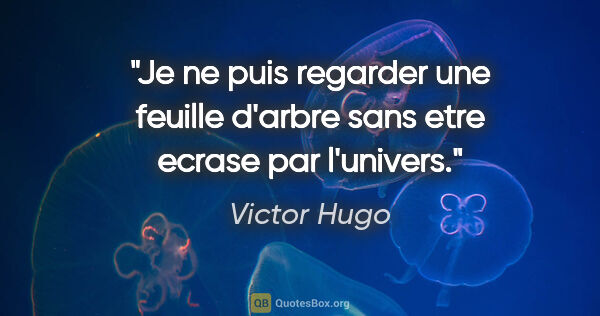 Victor Hugo citation: "Je ne puis regarder une feuille d'arbre sans etre ecrase par..."