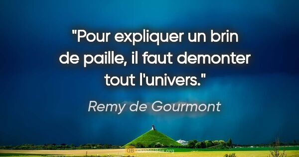 Remy de Gourmont citation: "Pour expliquer un brin de paille, il faut demonter tout..."