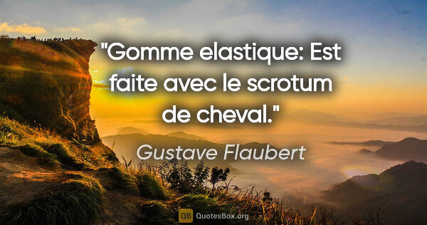 Gustave Flaubert citation: "Gomme elastique: Est faite avec le scrotum de cheval."