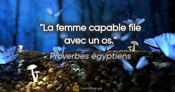 Proverbes égyptiens citation: "La femme capable file avec un os."