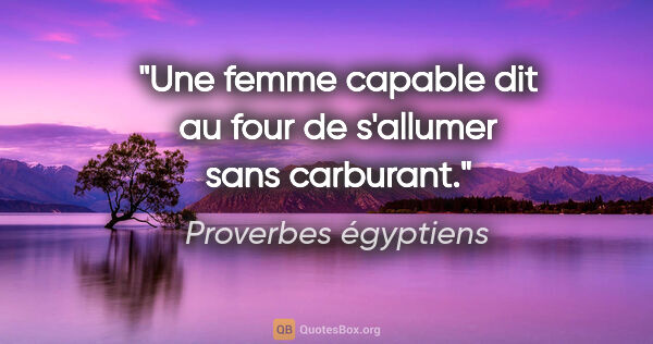 Proverbes égyptiens citation: "Une femme capable dit au four de s'allumer sans carburant."