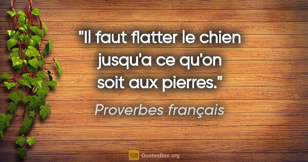 Proverbes français citation: "Il faut flatter le chien jusqu'a ce qu'on soit aux pierres."