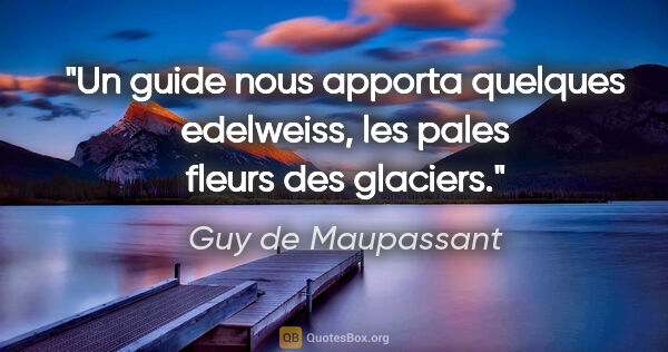 Guy de Maupassant citation: "Un guide nous apporta quelques edelweiss, les pales fleurs des..."