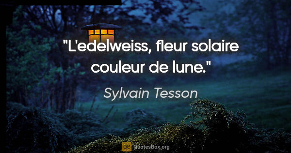 Sylvain Tesson citation: "L'edelweiss, fleur solaire couleur de lune."