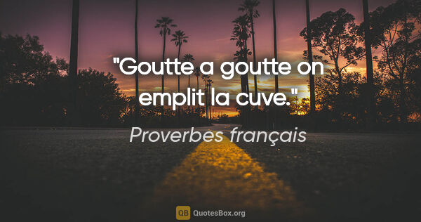 Proverbes français citation: "Goutte a goutte on emplit la cuve."