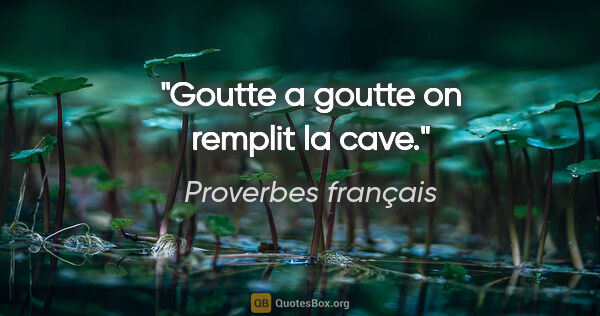 Proverbes français citation: "Goutte a goutte on remplit la cave."