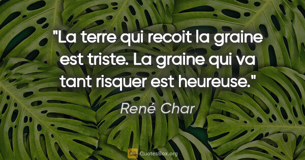 René Char citation: "La terre qui recoit la graine est triste. La graine qui va..."