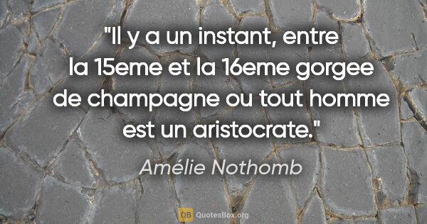 Amélie Nothomb citation: "Il y a un instant, entre la 15eme et la 16eme gorgee de..."