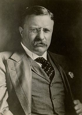 Theodore Roosevelt Citations
