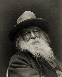 Walt Whitman Citations