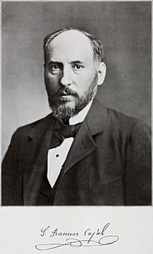 Santiago Ramón y Cajal Citations