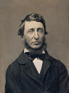 Henry David Thoreau Citations