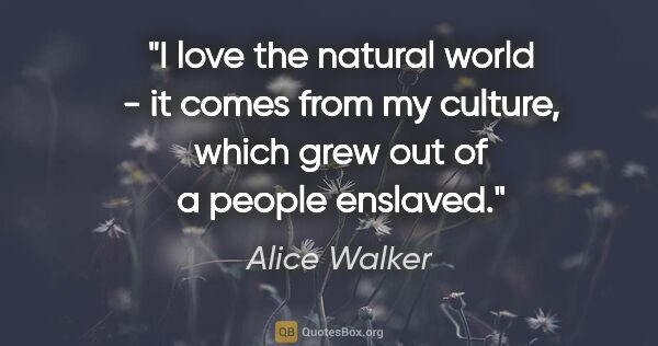 Alice Walker quote: "I love the natural world - it comes from my culture, which..."
