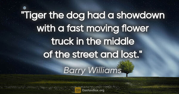 Barry Williams quote: "Tiger the dog had a showdown with a fast moving flower truck..."