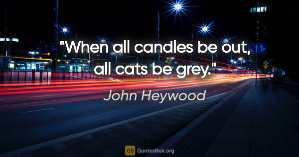 John Heywood quote: "When all candles be out, all cats be grey."