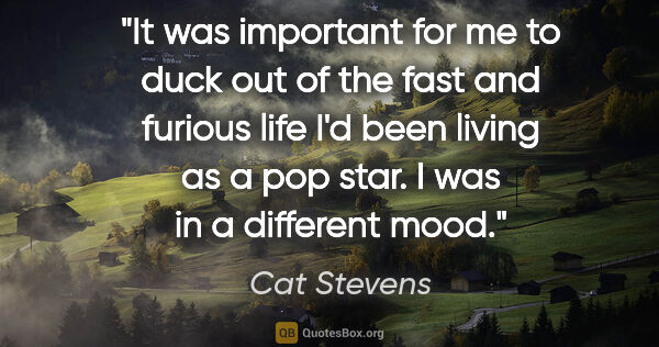 Cat Stevens quote: "It was important for me to duck out of the fast and furious..."