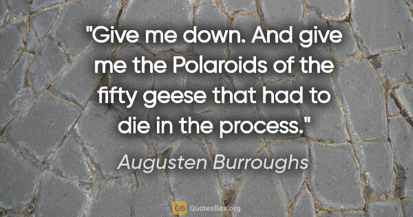 Augusten Burroughs quote: "Give me down. And give me the Polaroids of the fifty geese..."