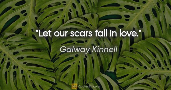 Galway Kinnell quote: "Let our scars fall in love."