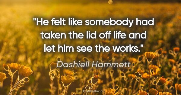 Dashiell Hammett quote: "He felt like somebody had taken the lid off life and let him..."
