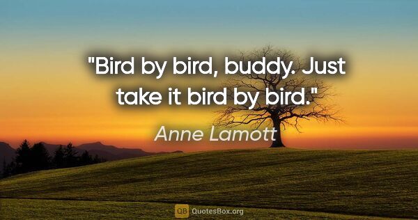 Anne Lamott quote: "Bird by bird, buddy. Just take it bird by bird."