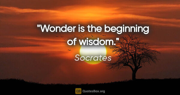 Socrates quote: "Wonder is the beginning of wisdom."