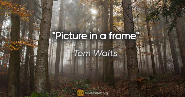 Tom Waits quote: "Picture in a frame"