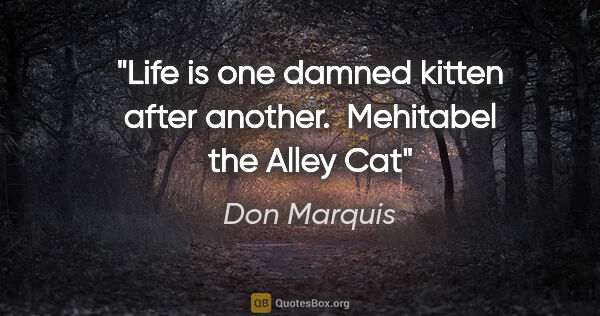 Don Marquis quote: "Life is one damned kitten after another."  Mehitabel the Alley..."