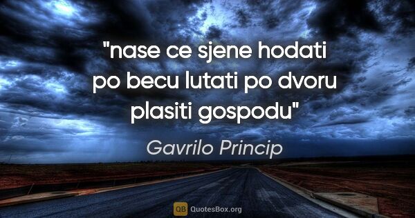 Gavrilo Princip quote: "nase ce sjene hodati po becu lutati po dvoru plasiti gospodu"