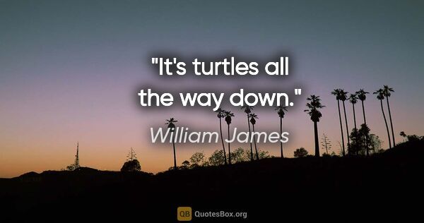 William James quote: "It's turtles all the way down."