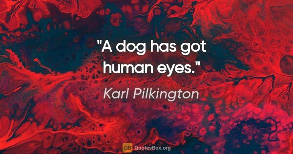 Karl Pilkington quote: "A dog has got human eyes."