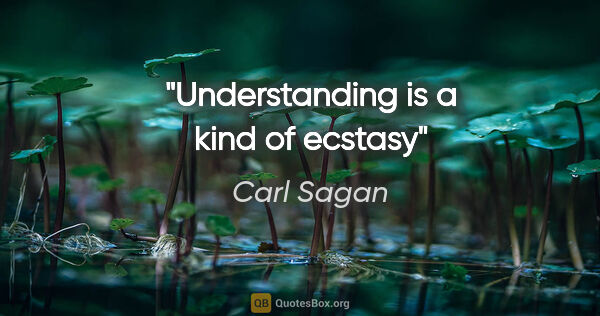 Carl Sagan quote: "Understanding is a kind of ecstasy"