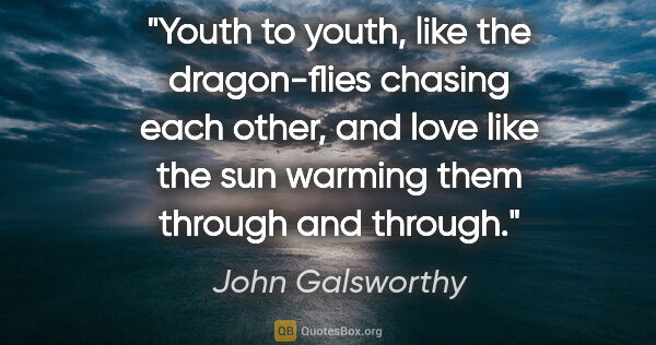 John Galsworthy quote: "Youth to youth, like the dragon-flies chasing each other, and..."
