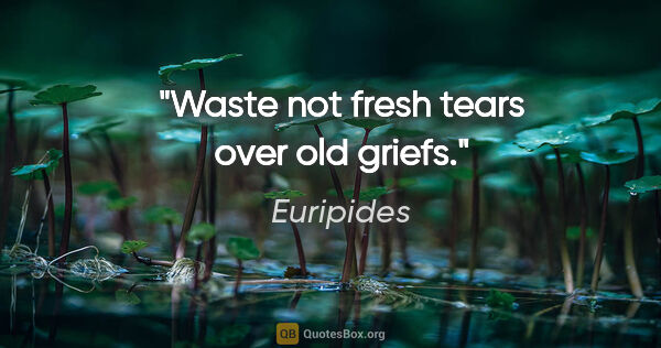 Euripides quote: "Waste not fresh tears over old griefs."