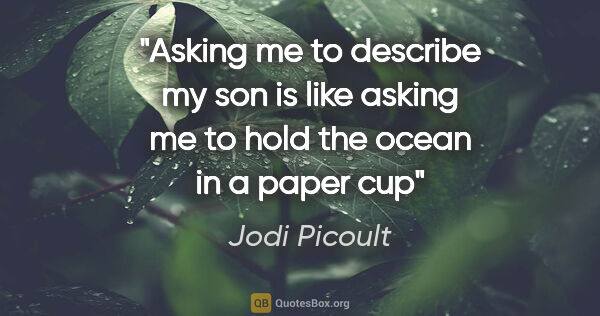 Jodi Picoult quote: "Asking me to describe my son is like asking me to hold the..."